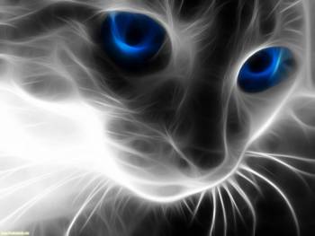 Чарующий взгляд синий кошачих глаз, обои с кошками, , кот, кошка, макро, фотошоп, взгляд, глаза