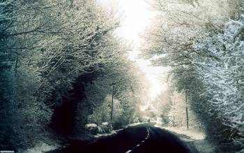 Дорога через зимний лес - обои скачать, , зима, лес