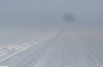 Зимнее безлюдное поле и одинокое дерево - обои, , поле, дерево, зима