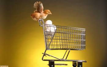 Цыпленок на взлете - скачать обои, , цыпленок, яйца, корзина, супермаркет