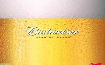 Пиво Budweiser - скачать обои напитков, , Budweiser, пиво, капли, желтый, пена, напиток