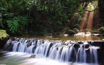 Тропическая река - скачать обои, , река, тропики, джунгли, водопад