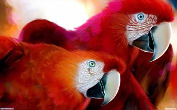 Красные попугаи - скачать обои 1920х1200, , попугаи, красные, птицы, цветные