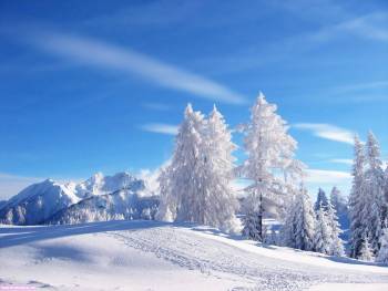 Снежные пейзажи - скачать обои 1600х1200, , снег, ели, горы, пейзаж