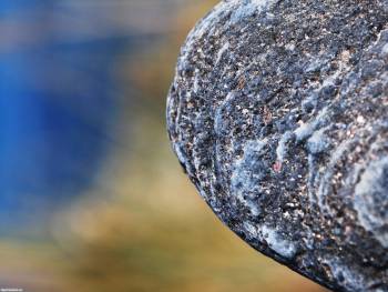 Макро-фото: мшистый камень. Скачать обои 2560х1920, , мох, камень, макро, фото