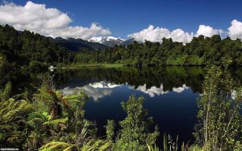 Тихое озеро - скачать обои бесплатно, , озеро, деревья, лес, небо, облака
