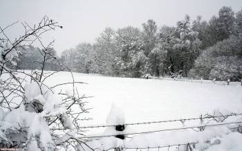 Заснеженное поле - скачать обои, , снег, зима, поле, изгородь