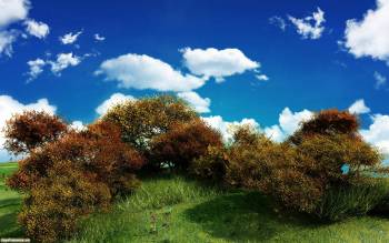 Голубое небо, белые облака и деревья - обои скачать, , небо, облака, деревья, трава