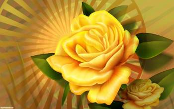 Желтая роза - обои с графикой бесплатно, , роза, цветок, желтая, графика