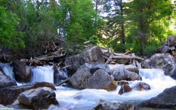 Бурная горная река - скачать обои, , река, горы, лес, камни, деревья