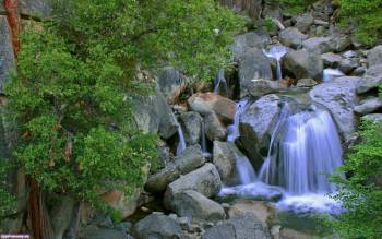 Прекрасный вид падающей воды по камням - скачать обои, , камни, водопад, деревья, уступы