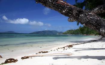 Берег тропического острова - скачать обои, , остров, тропики, пляж, море, небо