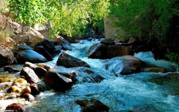 Бурно текущая горная река - обои бесплатно, , река, камни, горы, деревья