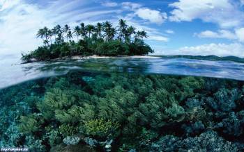 Подводное царство, красивые обои тропиков, , под водой, океан, вода, остров, пальма, небо, облака, рай