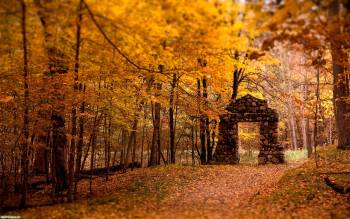 Осенний лес, шикарные осенние фото и обои природы, , фото, лес, листва, осень, дорожка, листопад, развалины