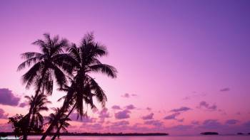 Фантастический закат в тропиках, широкоформатные обои, , закат, сиреневый, пальма, небо, тропики, облака