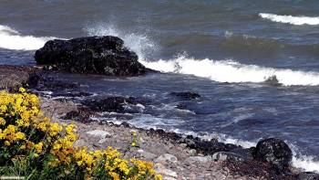 Морской прибой, красивые широкоформатные обои 1920х1080, , прибой, прилив, море, камни, песок, пляж