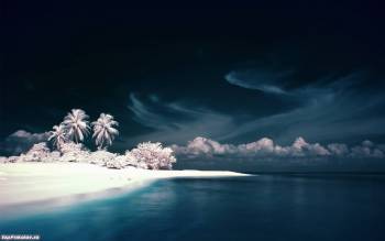 Качаем красивые обои - ночью в тропиках, , пальма, тропики, фотошоп, океан. пляж, небо, облака, ночь