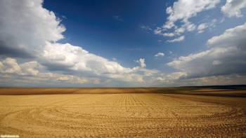 Скошенное пшеничное поле, скачать широкоформатные обои, , поле, солома, небо, облака