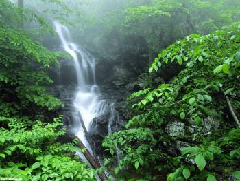 Скачать большие обои - водопад в джунглях, , джунгли, водопад, чаща, природа