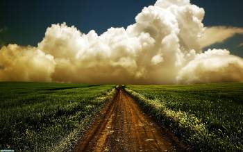 Дорога в поле, скачать обои с облаками, , поле, дорога, небо, облака