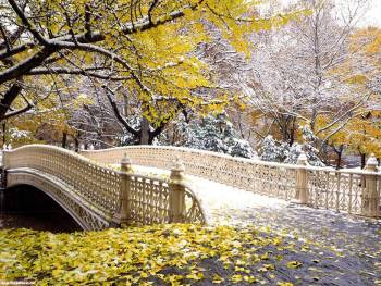 Скачать обои - опавшая листва на мосту, обои 1600x1200, , мост, листва, осень, дерево, снег