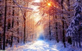 Зимний восход, красивые зимние обои 1920х1200, , природа, зима, восход, снег, лес, просека