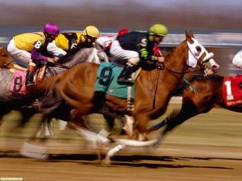 Конный спорт и бега, самые азартные обои на рабочий стол, , спорт, лошадь, бега, соревнования, наездник, скорость, азарт