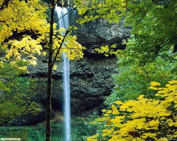 Скачайте обои 1280х1024 - водопад, , осень, природа, лес, водопад