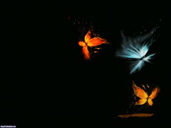 Три бабочки, скачать обои 1600х1200, , рисунок, фотошоп, бабочка, черный