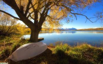 Скачать широкоформатные обои - голубое озеро, , Новая Зеландия, озеро, утро, лодка, дерево, небо, отражение, штиль