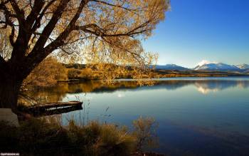 Скачать обои с озером в Новой Зеландии, , озеро, Новая Зеландия, природа, утро, отражение, штиль, дерево, берег, осень