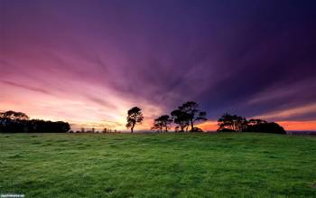 Скачать обои - природа Новой Зеландии, , Новая Зеландия, закат, фиолетовый, трава, поле