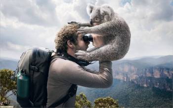 Фотограф и коала, скачать обои с коалой, , фотоаппарат, коала, мужчина, горы, небо, облака, высота