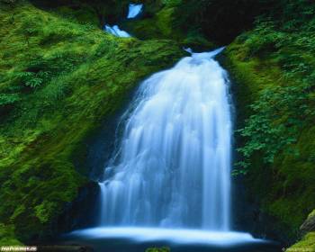 Скачать обои - водопад, обои с водопадами, , природа, зелень, заросли, водопад