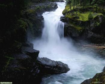 Мокрые камни и водопад, скачать обои с водопадами, , природа, водопад, река, чаща, камни, мокрые