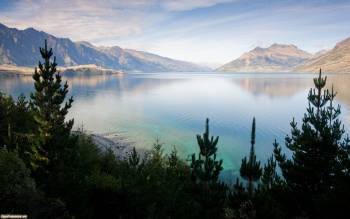 Зеркальная поверхность горного озера Новой Зеландии, обои, , Новая Зеландия, отражение, горы, лес, ель