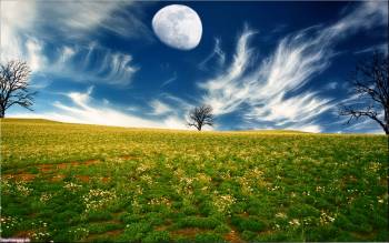 Красивые широкоформатные обои - поле и Луна на небе, , поле, луна, дерево. небо, облака