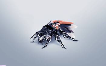 Трехмерная кибер-муха, широкоформатные 3D обои с мухой, , муха, робот, 3D