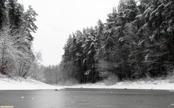 Черно-белые фото природы 1920х1200, , черно-белый, зима, лед, лес, снег, утро