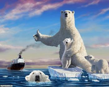 Белые медведи, обои с белыми медведями 1280х1024, , белый медведь, медведь, льдина, океан, корабль, кораблекрушение, юмор