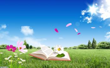 Непрочитанная книга на лугу, красивые романтические обои, , романтика, поле, трава, книга, цветок, горизонт, небо, солнце, облака