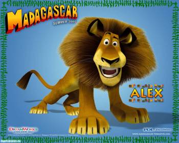 Обои из мультфильма Мадагаскар с Алексом, , Alex, Мадагаскар, мультфильм, лев, персонаж