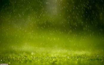 Капли дождя - обои с дождем на рабочий стол, , дождь, капли, трава, макро