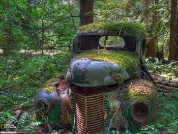 Старинный автомобиль в лесу, обои 1600х1200, , автомобиль, старый, заросли, лес, ржавчина