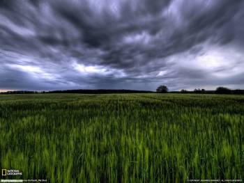 HDR фото природы, обои природы в HDR, , HDR, трава, поле, небо, тучи, горизонт