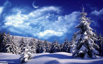 Вечер в заснеженном лесу, обои - зима в лесу, , зима, лес, елки, снег, вечер, небо, облака, луна, тени