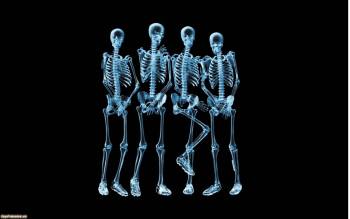 Четыре скелета, обои 1920х1200, , скелет, рентген