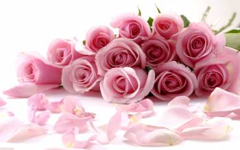 Свадебные или праздничные обои, обои на свадьбу, , свадьба, праздник, цветы, букет, розы, розовый