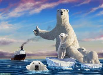 Медведи на льдине, прикольные обои, , белый медведь, корабль, северный полюс, холод, океан, льдина